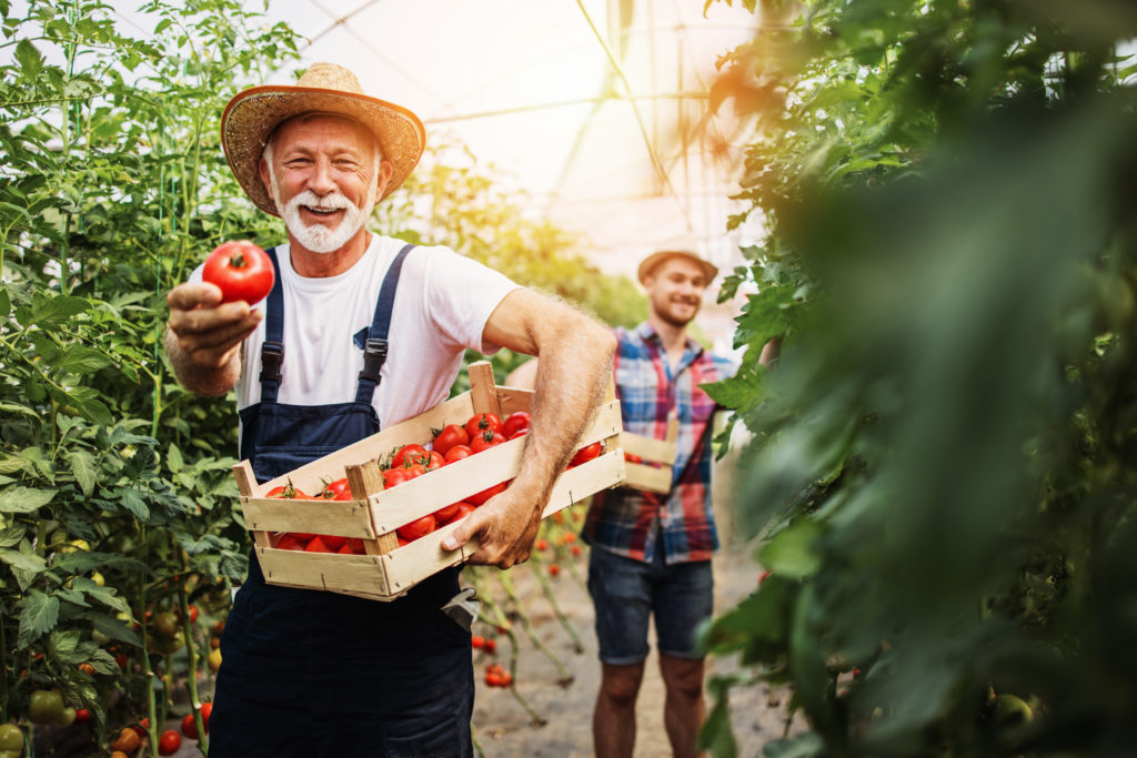 survival gardeners