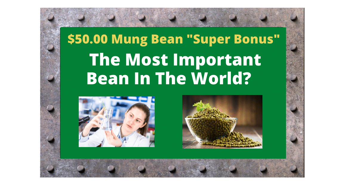 Mung Bean Bank