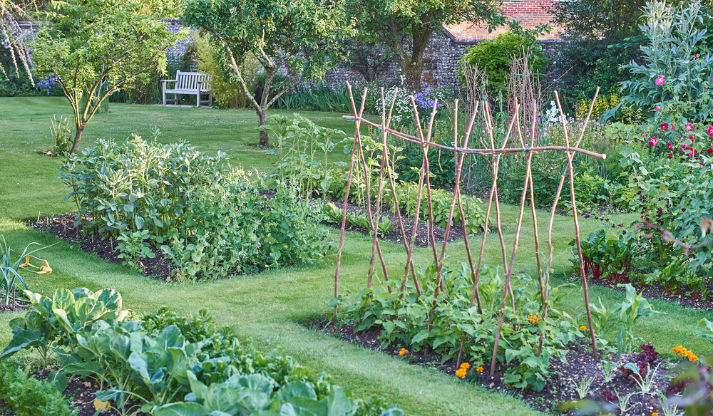 vegetable seed bank