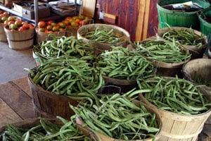 Beans10204541