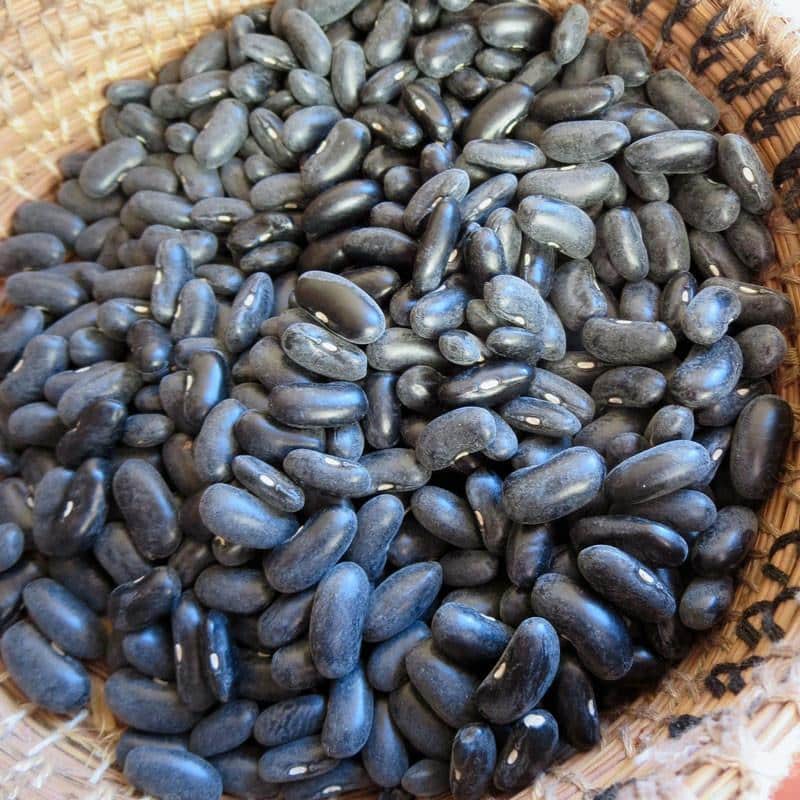 Black-Valentine-Bean