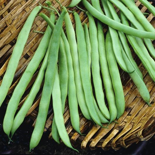 Bountiful-Beans
