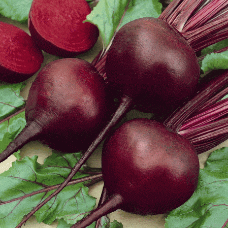 Detroit-Dark-Red-Beet
